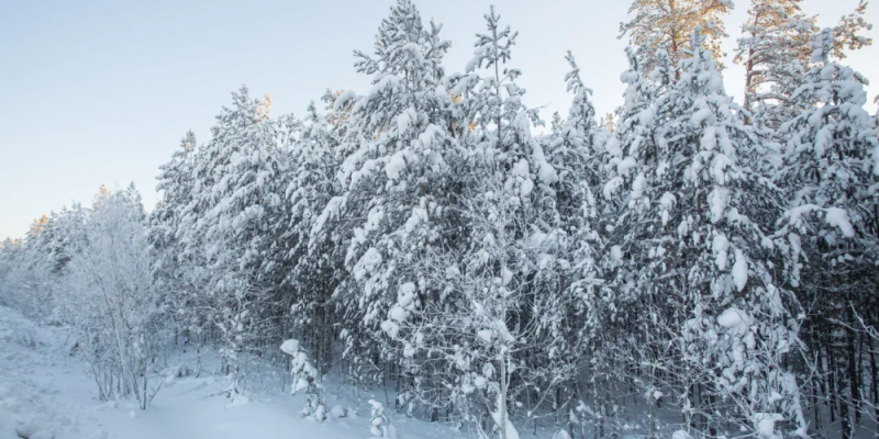 Экстренное предупреждение о наступлении опасных явлений погоды