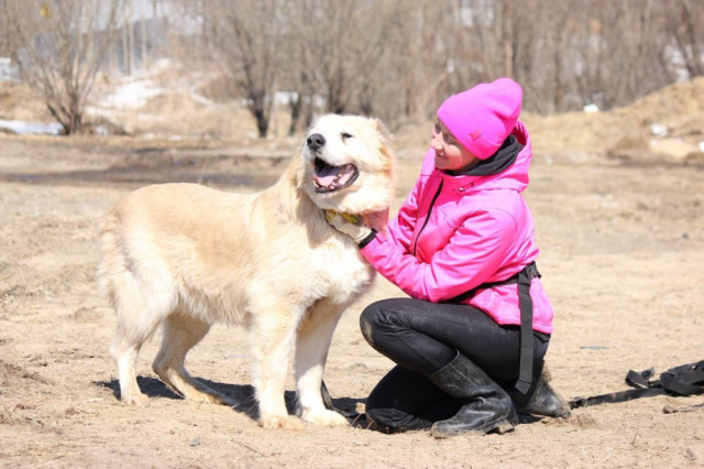 В Сургутском районе стартует фотоконкурс любимцев