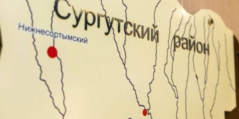 Цифровые ресурсы Сургутского района признаны одними из лучших в России