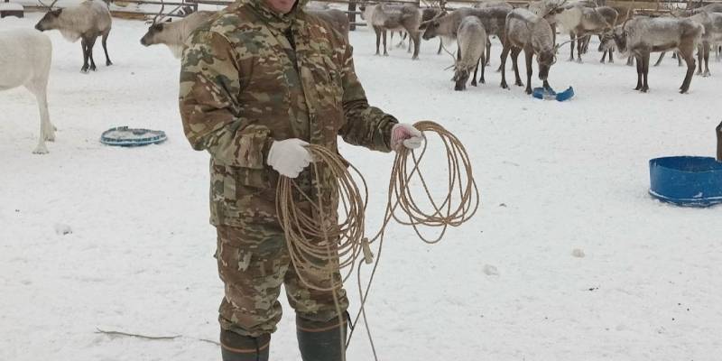 Новости одной строкой