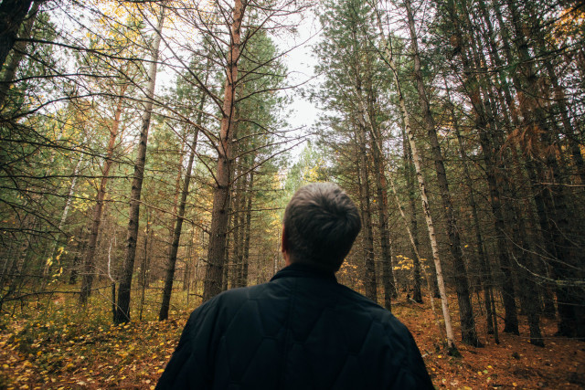 Закопал в массиве