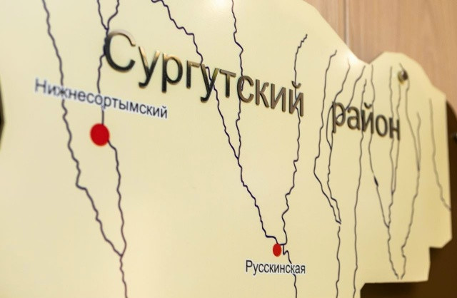 Цифровые ресурсы Сургутского района признаны одними из лучших в России Цифровые ресурсы Сургутского района признаны одними из лучших в России