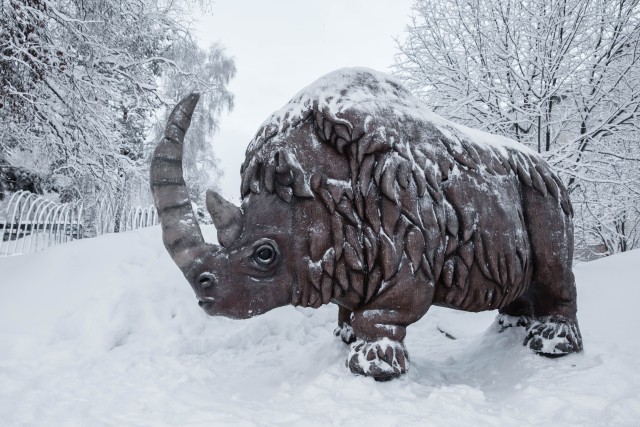В Сургутском районе на новогодних каникулах проведут экскурсии по Барсовой горе