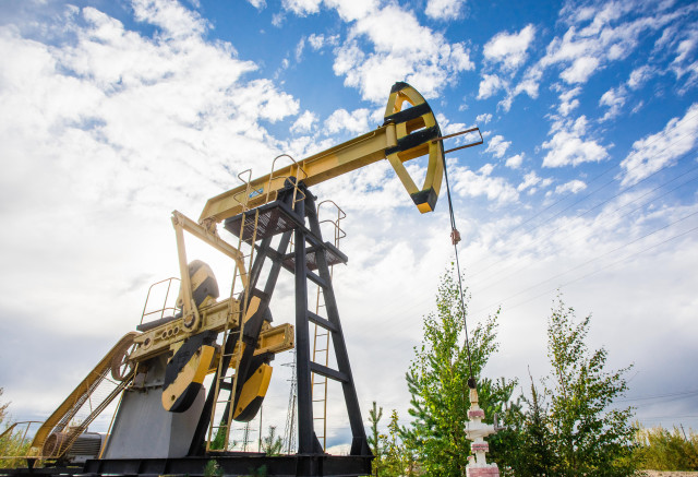 Лебедь угодил в нефть на месторождении в ХМАО и оказался в смертельной ловушке Лебедь угодил в нефть на месторождении в ХМАО и оказался в смертельной ловушке
