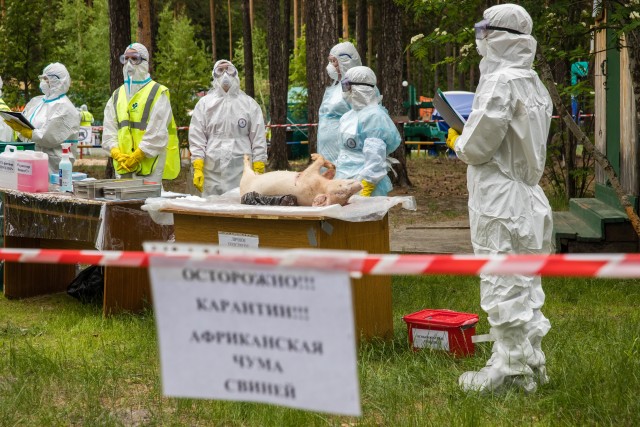Мир во время чумы Мир во время чумы