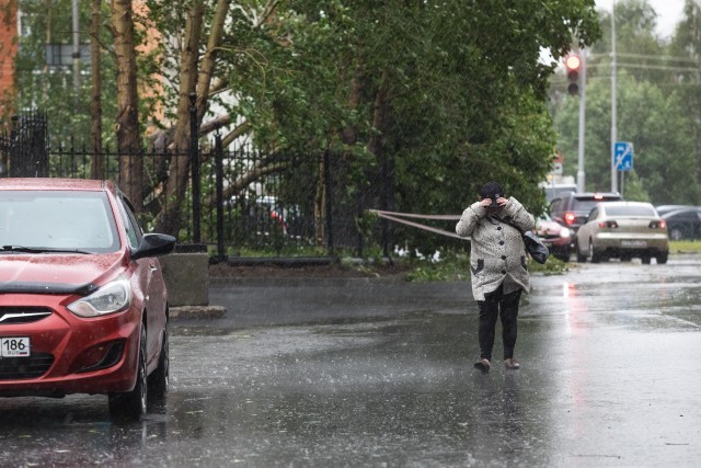 Готовьте ружья: депутаты и мэры ХМАО рассказали, как провести дождливые выходные дома