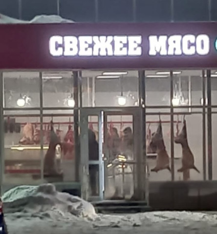 Жителей ХМАО возмутили окровавленные туши на крюках в витрине магазина Жителей ХМАО возмутили окровавленные туши на крюках в витрине магазина