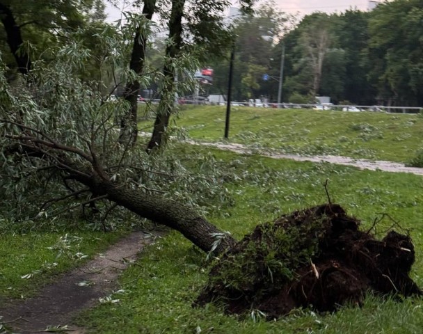 Уроженцы ХМАО рассказали о последствиях разрушительного урагана в Москве Уроженцы ХМАО рассказали о последствиях разрушительного урагана в Москве