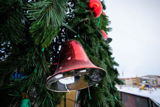 Новогодняя атмосфера напрокат: елки в аренду начали сдавать в ХМАО Новогодняя атмосфера напрокат: елки в аренду начали сдавать в ХМАО