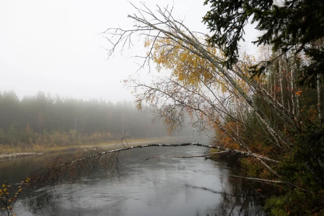 В ХМАО уровень воды в реках побьет показатель прошлого года на 2 метра В ХМАО уровень воды в реках побьет показатель прошлого года на 2 метра