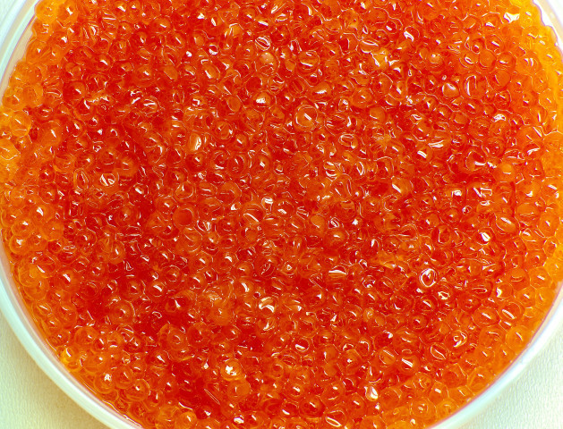 Кишечную палочку нашли в икре пяти популярных торговых марок