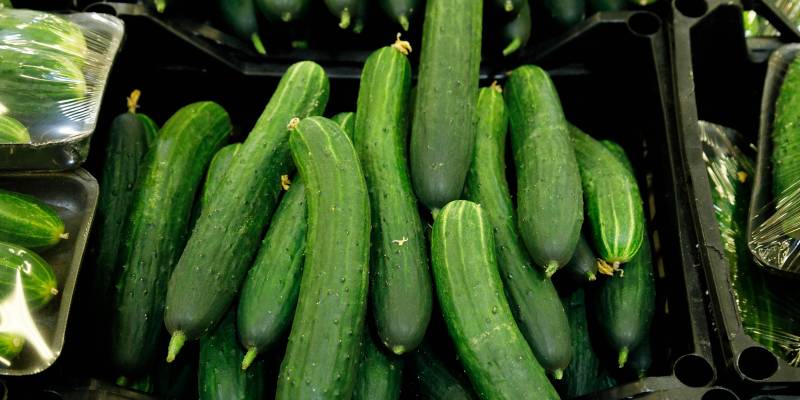 Эксперт президентской академии рассказал, почему в ХМАО огурцы и помидоры стали стоить, как мясо