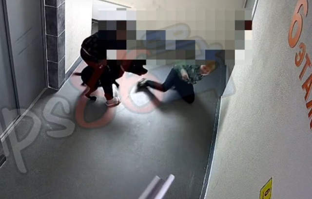 В ХМАО следователи начали проверку после нападения бойцовской собаки на ребенка В ХМАО следователи начали проверку после нападения бойцовской собаки на ребенка