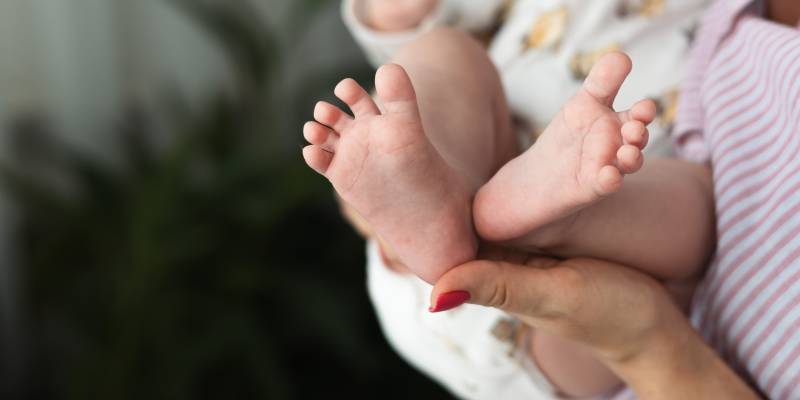 Назван размер материнского капитала в 2026 году