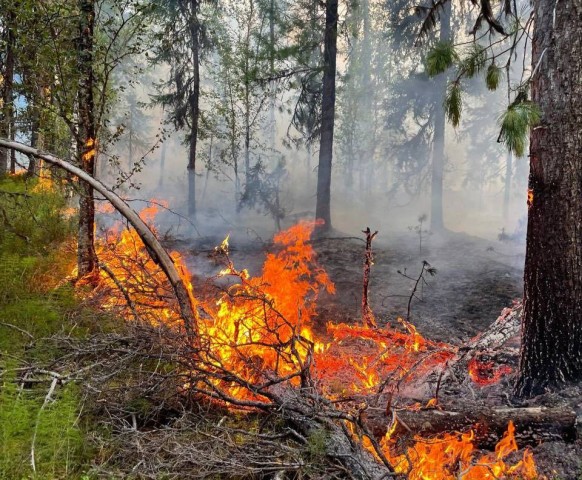 В ХМАО вернулись лесные пожары