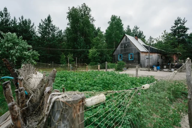 В ХМАО мужчина вырастил плантацию конопли рядом с картошкой на огороде, но его сдал сосед