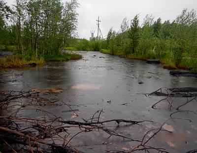 В Нефтеюганском районе нашли два десятка загрязненных нефтью участков