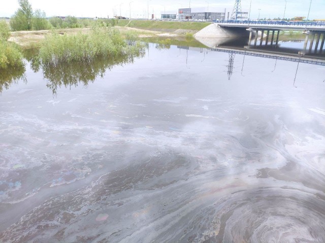 В Сургуте реку Сайма очищают от нефтяных пятен