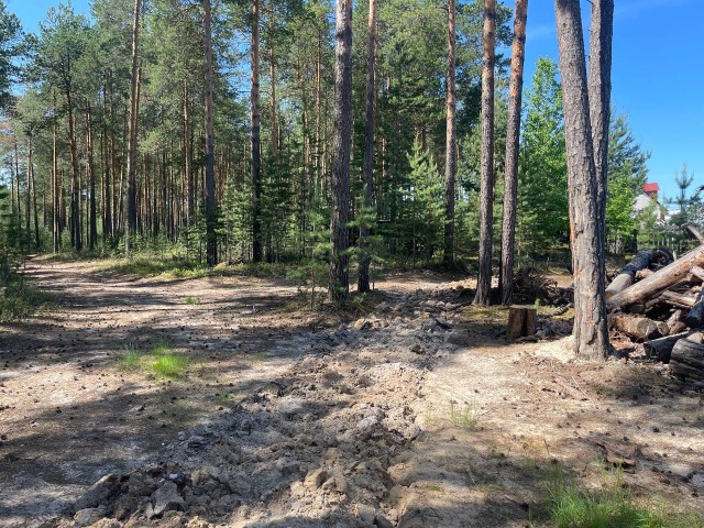 В Сургутском районе усилили работу по недопущению лесных пожаров