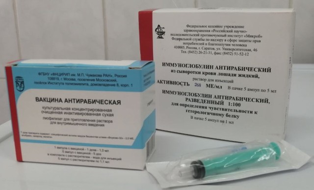 С начала года более 260 пациентов обратились в больницу Сургута из-за укусов животных С начала года более 260 пациентов обратились в больницу Сургута из-за укусов животных