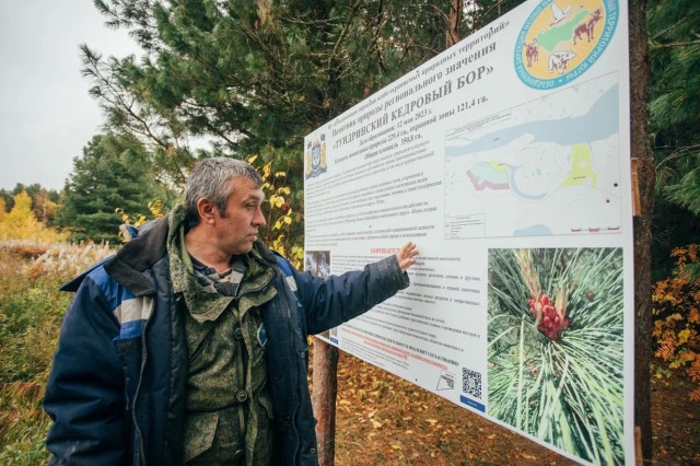 Хранители и разорители леса Хранители и разорители леса