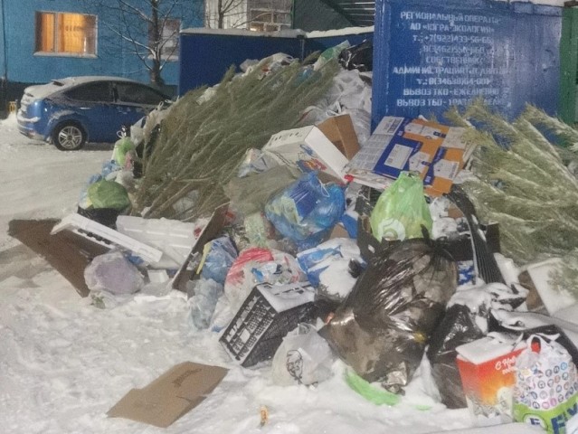 В Лянторе жители жалуются на горы мусора. Фото