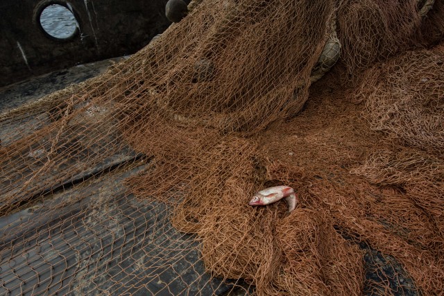 В Сургутском районе задержали браконьера с краснокнижной рыбой