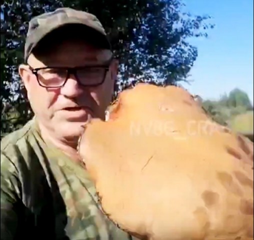Житель Радужного нашел гриб-гигант в лесах Югры