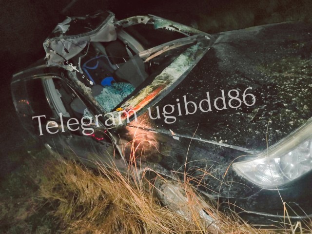 В Сургутском районе водитель иномарки насмерть сбил лося и пострадал сам В Сургутском районе водитель иномарки насмерть сбил лося и пострадал сам