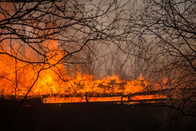 В ХМАО стремительно увеличивается площадь лесных пожаров
