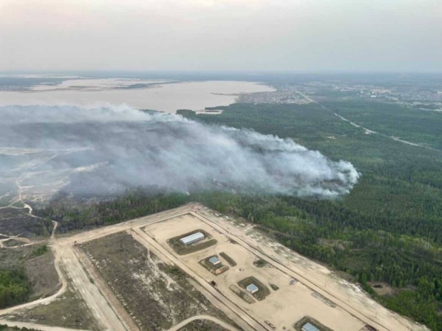 В ХМАО ликвидировали три лесных пожара на площади 19 гектаров