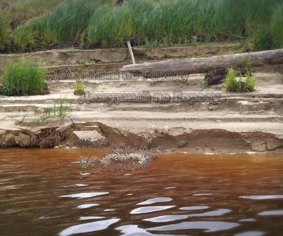 В Нижневартовске к берегу прибило обнаженный труп мужчины В Нижневартовске к берегу прибило обнаженный труп мужчины