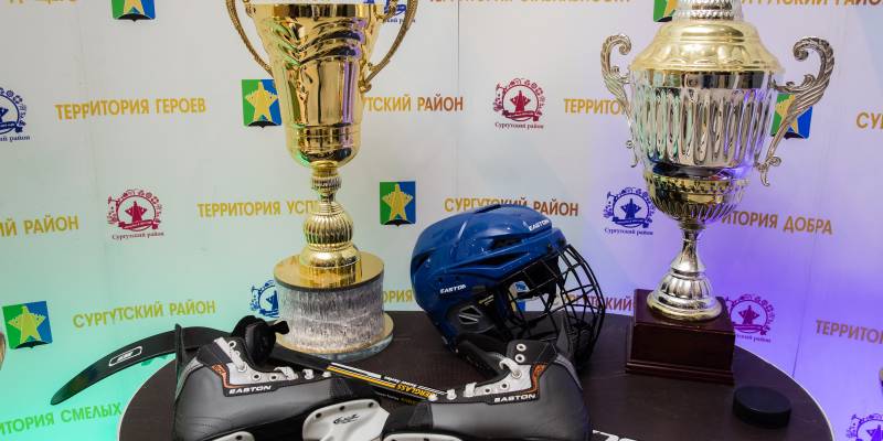 В Сургутский район приедут олимпийские чемпионы Дементьев и Храмцов