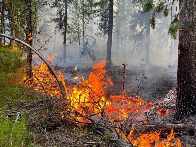 Власти ХМАО потратили на тушение пожаров почти 800 млн рублей