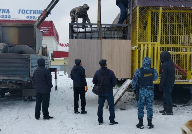 Четырех медведей из ХМАО из-за антисанитарии отправили в Татарстан