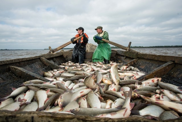 Здесь рыба есть! Перспективы развития старейшего районного рыбозавода в Сытомино