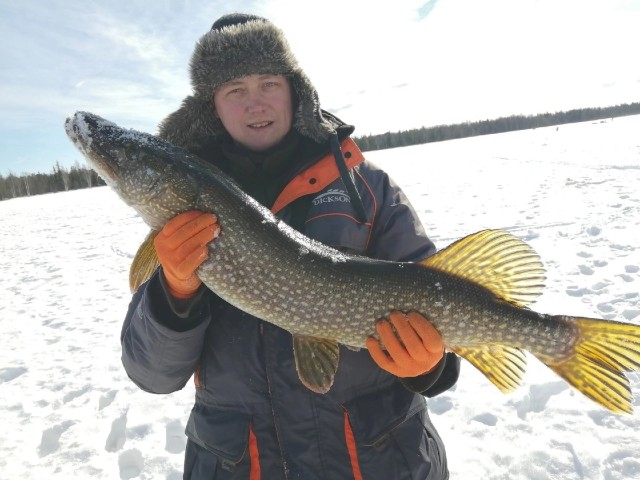 Рыбак из Пермского края поймал в ХМАО крупную рыбу