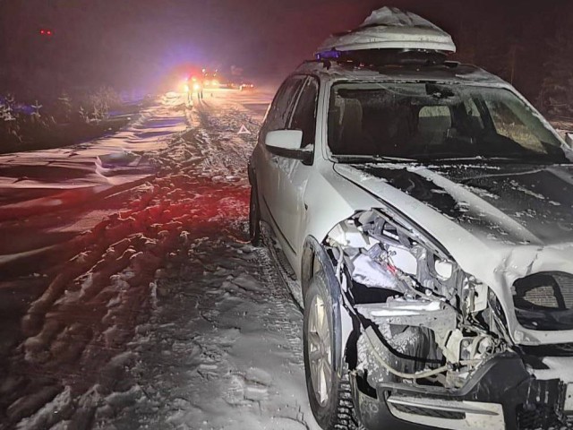 В Сургутском районе водитель иномарки насмерть сбил оленя
