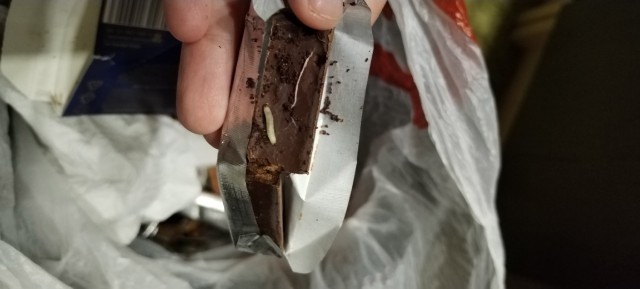 Нефтяник обнаружил червяков в подарке от профсоюза