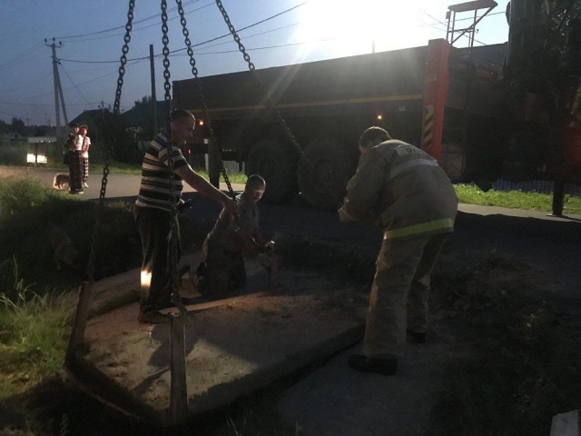 В ХМАО пожарные спасли собаку, застрявшую в водосточной трубе В ХМАО пожарные спасли собаку, застрявшую в водосточной трубе