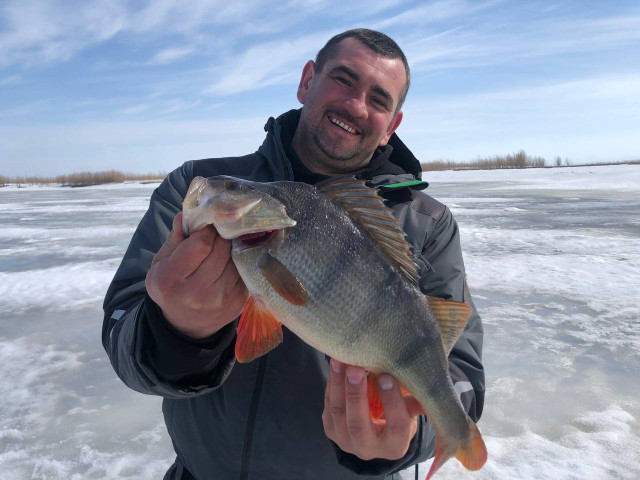 Ты меня на рассвете разбудишь: работающие лайфхаки для зимней рыбалки Ты меня на рассвете разбудишь: работающие лайфхаки для зимней рыбалки