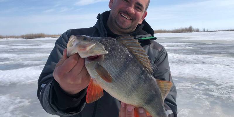 Ты меня на рассвете разбудишь: работающие лайфхаки для зимней рыбалки Ты меня на рассвете разбудишь: работающие лайфхаки для зимней рыбалки