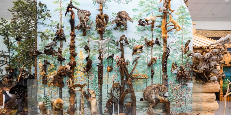 ​Рукотворное чудо: как преобразился музей в Русскинской после капремонта