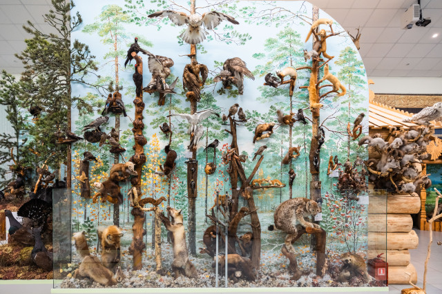 Рукотворное чудо: как преобразился музей в Русскинской после капремонта Рукотворное чудо: как преобразился музей в Русскинской после капремонта