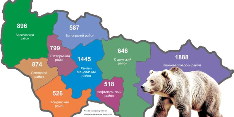 ​Холостяки уже вышли, а мамы пока спят: где в Сургутском районе можно встретить медведя