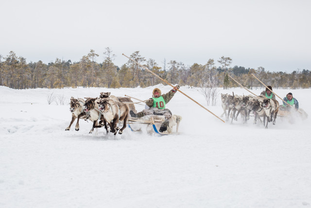 ​Сургутский район готовится к традиционному Слету оленеводов, охотников и рыбаков