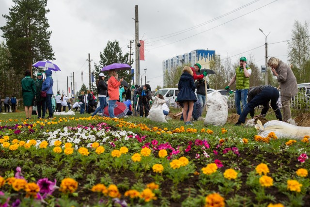 ​В Сургуте высадят 400 тысяч цветов и сделают два новых цветника