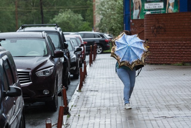 ​Синоптики пообещали дожди в Югре в первую неделю августа