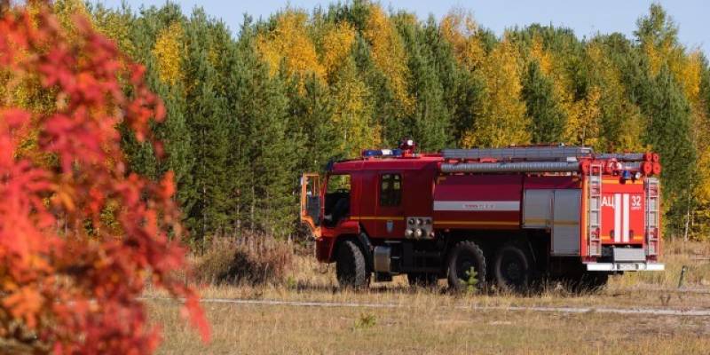 ​В Нижневартовске юные пироманы подожгли уличный туалет