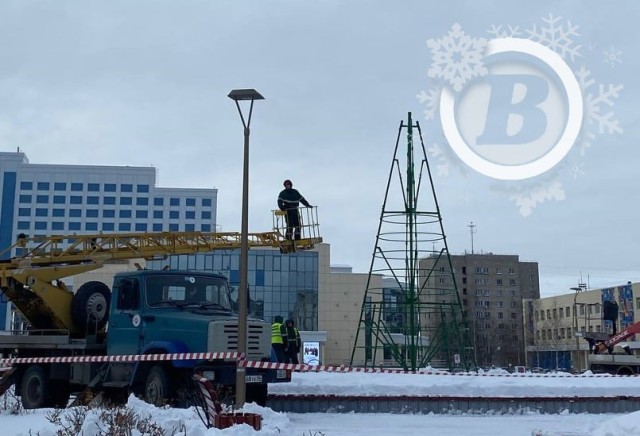 ​Первую новогоднюю елку начали устанавливать в Сургуте. Фото